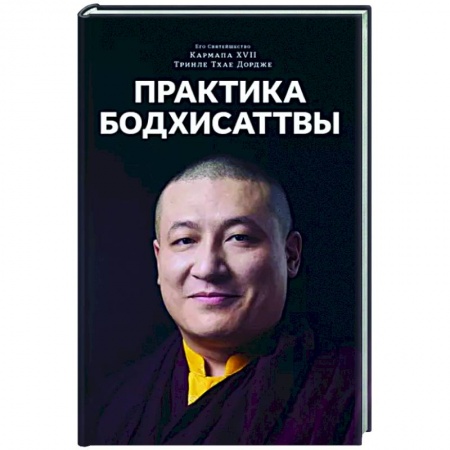 Религии мира, книга Практика Бодхисаттвы купить по низкой цене