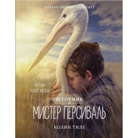 Художественная литература, книга Штормик и мистер Персиваль купить по низкой цене