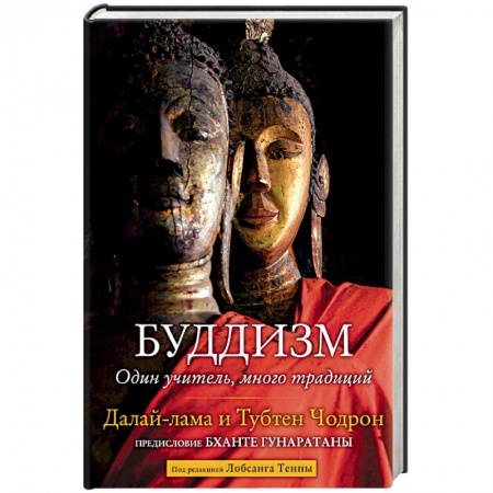Буддизм. Общие представления, книга Буддизм. Один учитель, много традиций купить по низкой цене