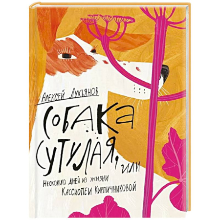 Отечественная литература для детей, книга Собака сутулая, или Несколько дней из жизни Кассиопеи Кирпичниковой купить по низкой цене