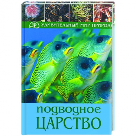 Книги, книга Подводное царство купить по низкой цене
