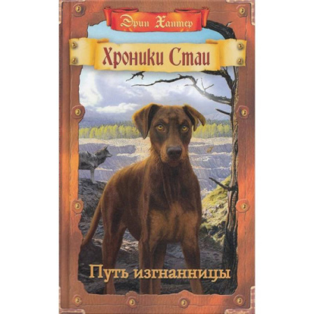 Мистика. Фантастика. Фэнтези, книга Путь изгнанницы купить по низкой цене