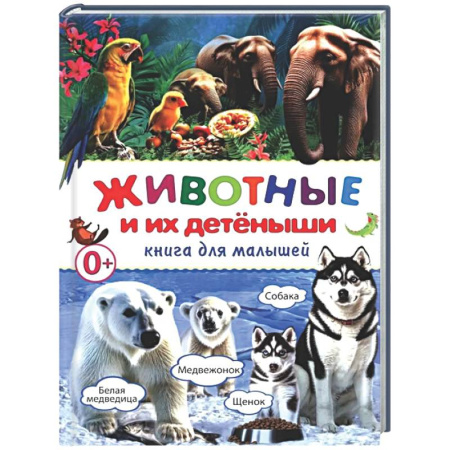 Животный и растительный мир, книга Животные и их детеныши. Книга для малышей купить по низкой цене