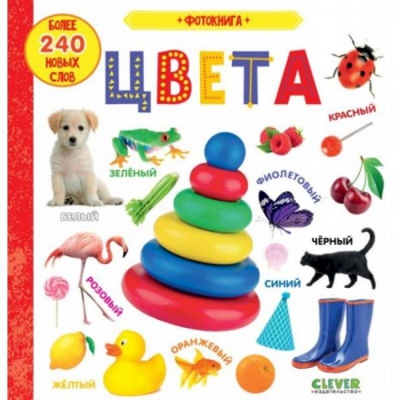 Знакомство с миром, развитие малыша, книга Первые знания. Фотокниги. Фотокнига. Цвета купить по низкой цене