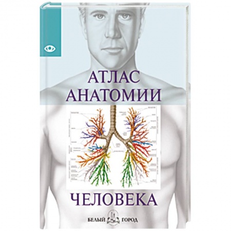Книги, книга Атлас анатомии человека купить по низкой цене