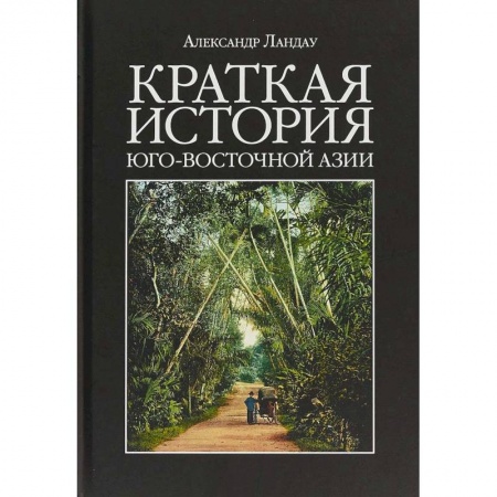 Другие страны Азии и Африки, книга Краткая история Юго-Восточной Азии купить по низкой цене