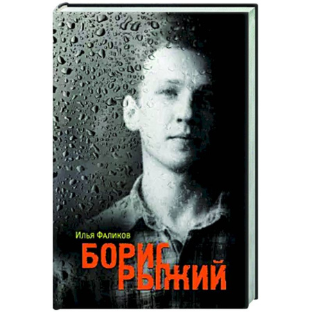 Мемуары, биографии деятелей культуры, искусства, книга Борис Рыжий. Дивий камень купить по низкой цене