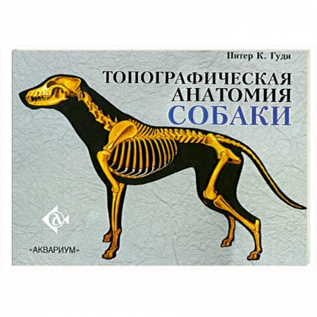 Книги, книга Топографическая анатомия собаки купить по низкой цене