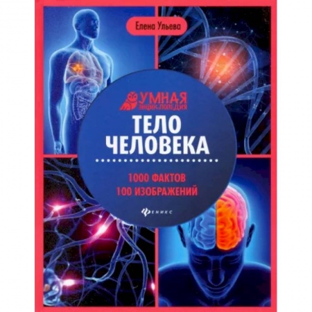 Человек. Земля. Вселенная, книга Тело человека: энциклопедия купить по низкой цене