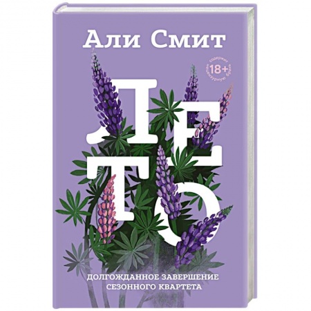 Зарубежная современная проза, книга Лето купить по низкой цене