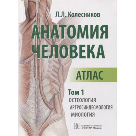 Другие виды специальной медицины, книга Анатомия человека. Атлас. Том 1: Остеология купить по низкой цене