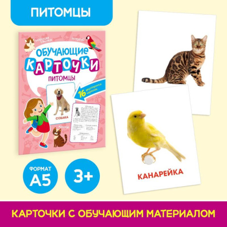 Книги для дошкольников (4-6 лет), книга Питомцы. 16 двусторонних карточек купить по низкой цене