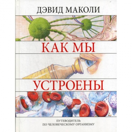 Познавательная литература, книга Как мы устроены купить по низкой цене
