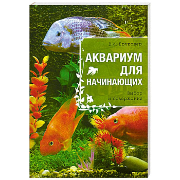 Аквариум для начинающих