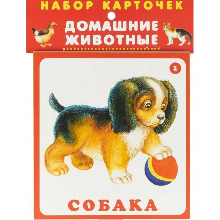 Знакомство с миром, развитие малыша, книга Набор карточек. Домашние животные купить по низкой цене