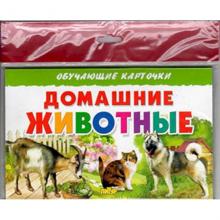 Животный и растительный мир, книга Домашние животные купить по низкой цене
