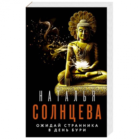 Отечественный женский детектив, книга Ожидай странника в день бури купить по низкой цене