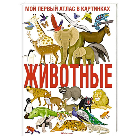 Животный и растительный мир, книга Животные. Мой первый атлас в картинках купить по низкой цене