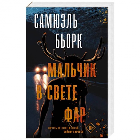 Зарубежный детектив, книга Мальчик в свете фар купить по низкой цене