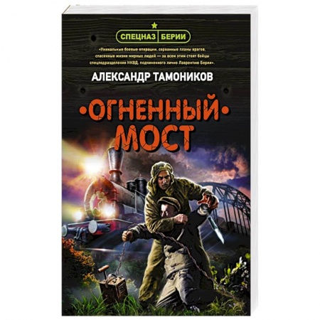 Исторический детектив, книга Огненный мост купить по низкой цене