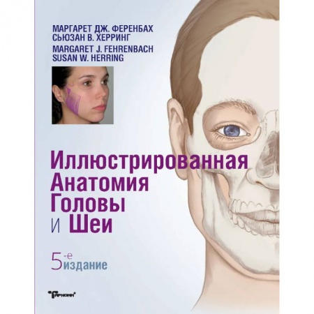 Другие виды специальной медицины, книга Иллюстрированная анатомия головы и шеи купить по низкой цене