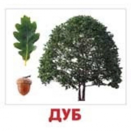 Игры на любой вкус, книга Комплект карточек 'Деревья' купить по низкой цене