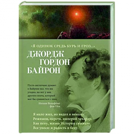 Зарубежная поэзия, книга Я одинок средь бурь и гроз купить по низкой цене