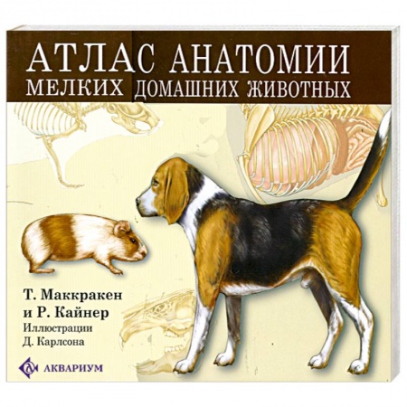 Книги, книга Атлас анатомии мелких домашних животных купить по низкой цене