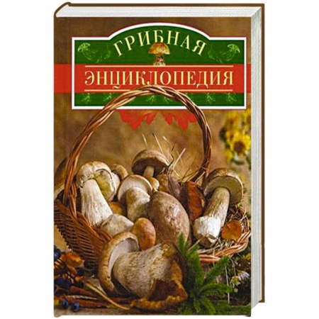 Книги, книга Грибная энциклопедия купить по низкой цене