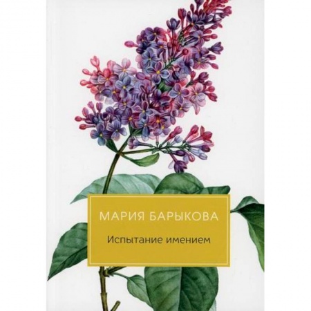 Русская современная проза, книга Испытание имением купить по низкой цене