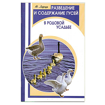 Разведение и содержание гусей в родовой усадьбе