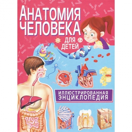 Все обо всем. Универсальные энциклопедии, книга Анатомия человека для детей. Иллюстрированная энциклопедия купить по низкой цене