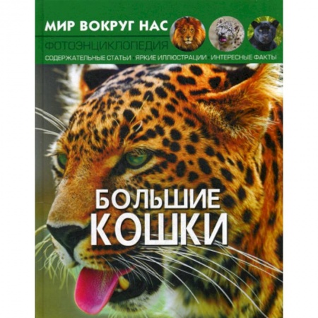 Животный и растительный мир, книга Мир вокруг нас. Большие кошки купить по низкой цене