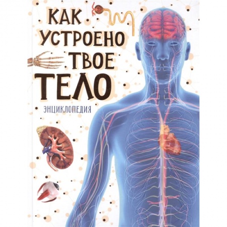 Человек. Земля. Вселенная, книга Как устроено твое тело. Энциклопедия купить по низкой цене