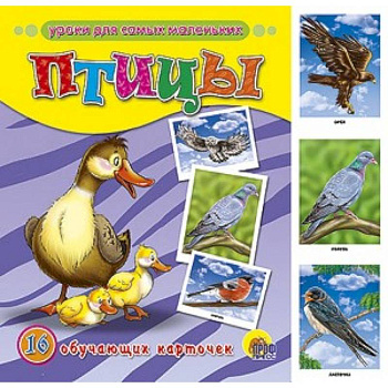 Обучающие карточки. Птицы