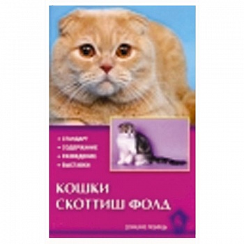 Кошки скоттиш-фолд Кошки скоттиш-фолд