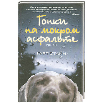 Гонки на мокром асфальте