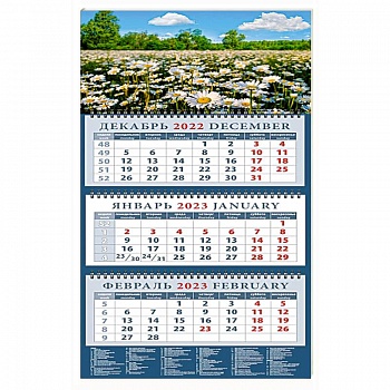 Календарь Ромашки, на 2023 год