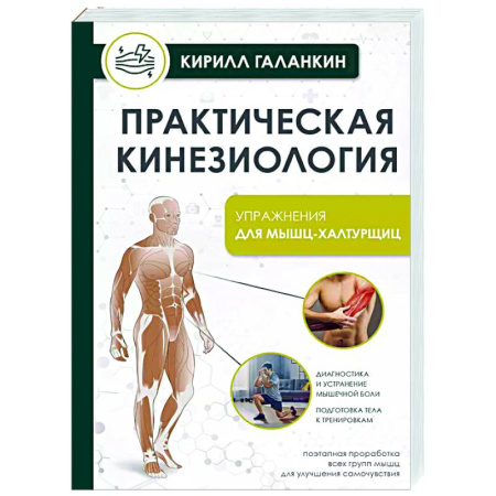 Авторские методики, книга Практическая кинезиология. Упражнения для мышц-халтурщиц купить по низкой цене