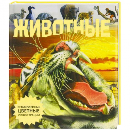 Книги, книга Животные купить по низкой цене