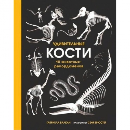 Животный и растительный мир, книга Удивительные кости. Десять животных-рекордсменов купить по низкой цене