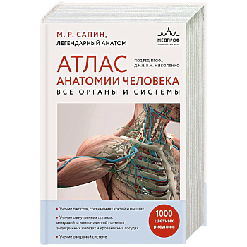 Атлас анатомии человека. Все органы и системы