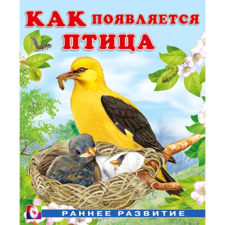 Животный и растительный мир, книга Как появляется птица купить по низкой цене