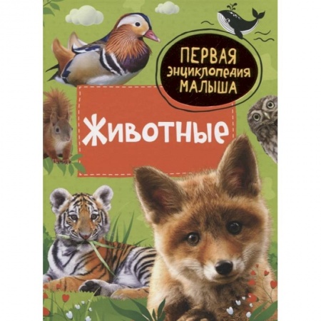 Животный и растительный мир, книга Животные. Первая энциклопедия малыша купить по низкой цене