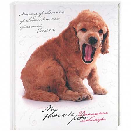 Книги, книга Домашние любимцы. My favourite pets купить по низкой цене