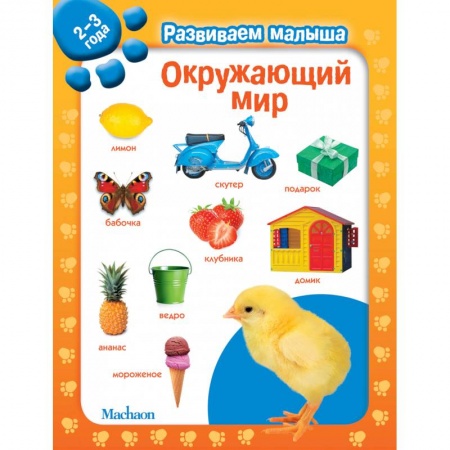 Книжки-игрушки, книга Окружающий мир. 2-3 года купить по низкой цене