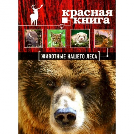 Животный и растительный мир, книга Красная книга. Животные нашего леса купить по низкой цене