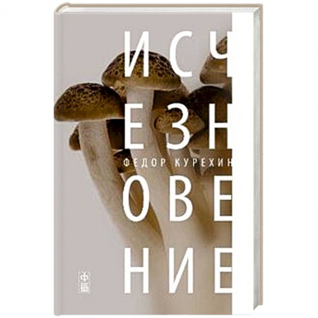 Книги, книга Исчезновение купить по низкой цене