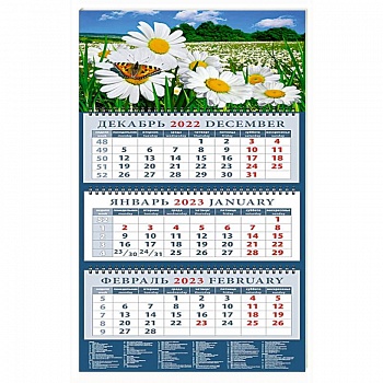 Календарь Пейзаж с ромашками и бабочкой, на 2023 год