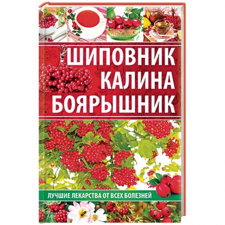 Деревья, кустарники, орехи, книга Шиповник, калина, боярышник. Лучшие лекарства от всех болезней купить по низкой цене